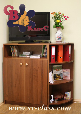 a cabinet (custom-designed)